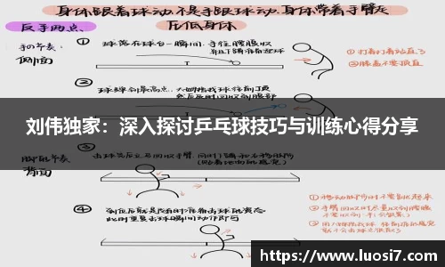刘伟独家：深入探讨乒乓球技巧与训练心得分享